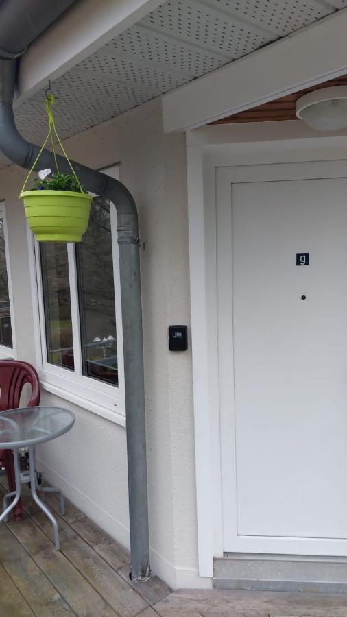 Ferienwohnung Am Stadtwald Φράιμπεργκ Εξωτερικό φωτογραφία