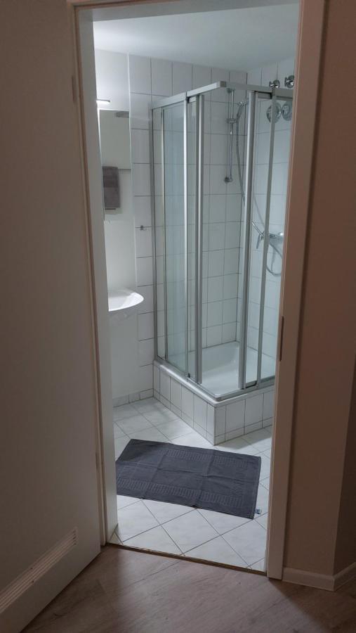 Ferienwohnung Am Stadtwald Φράιμπεργκ Εξωτερικό φωτογραφία