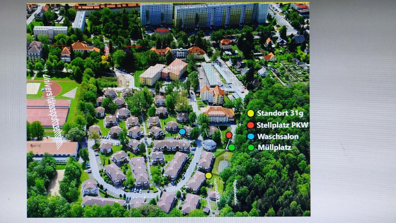 Ferienwohnung Am Stadtwald Φράιμπεργκ Εξωτερικό φωτογραφία