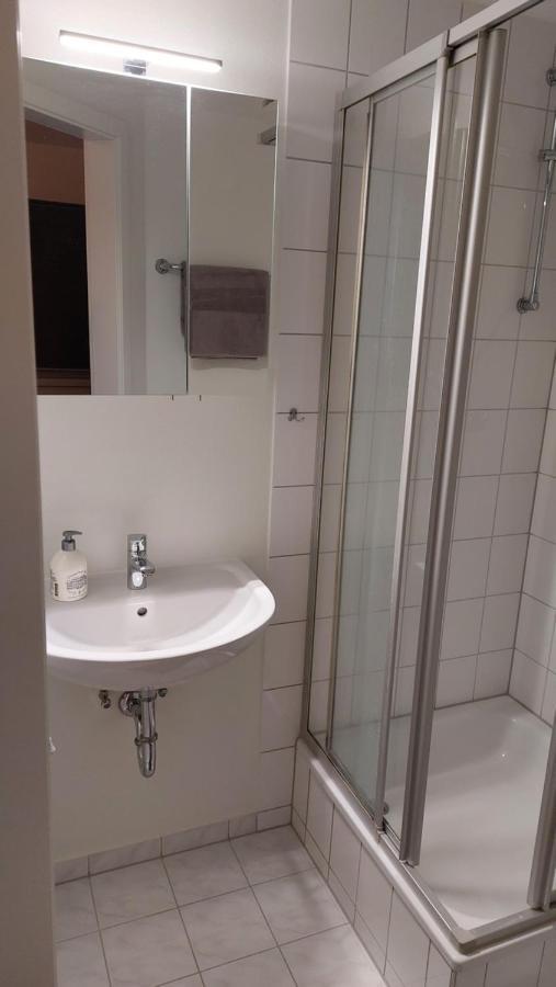 Ferienwohnung Am Stadtwald Φράιμπεργκ Εξωτερικό φωτογραφία